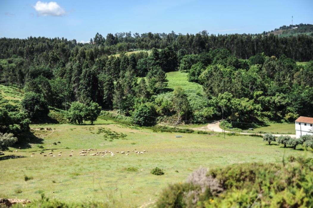 Vumba Agroturismo Арганил Экстерьер фото