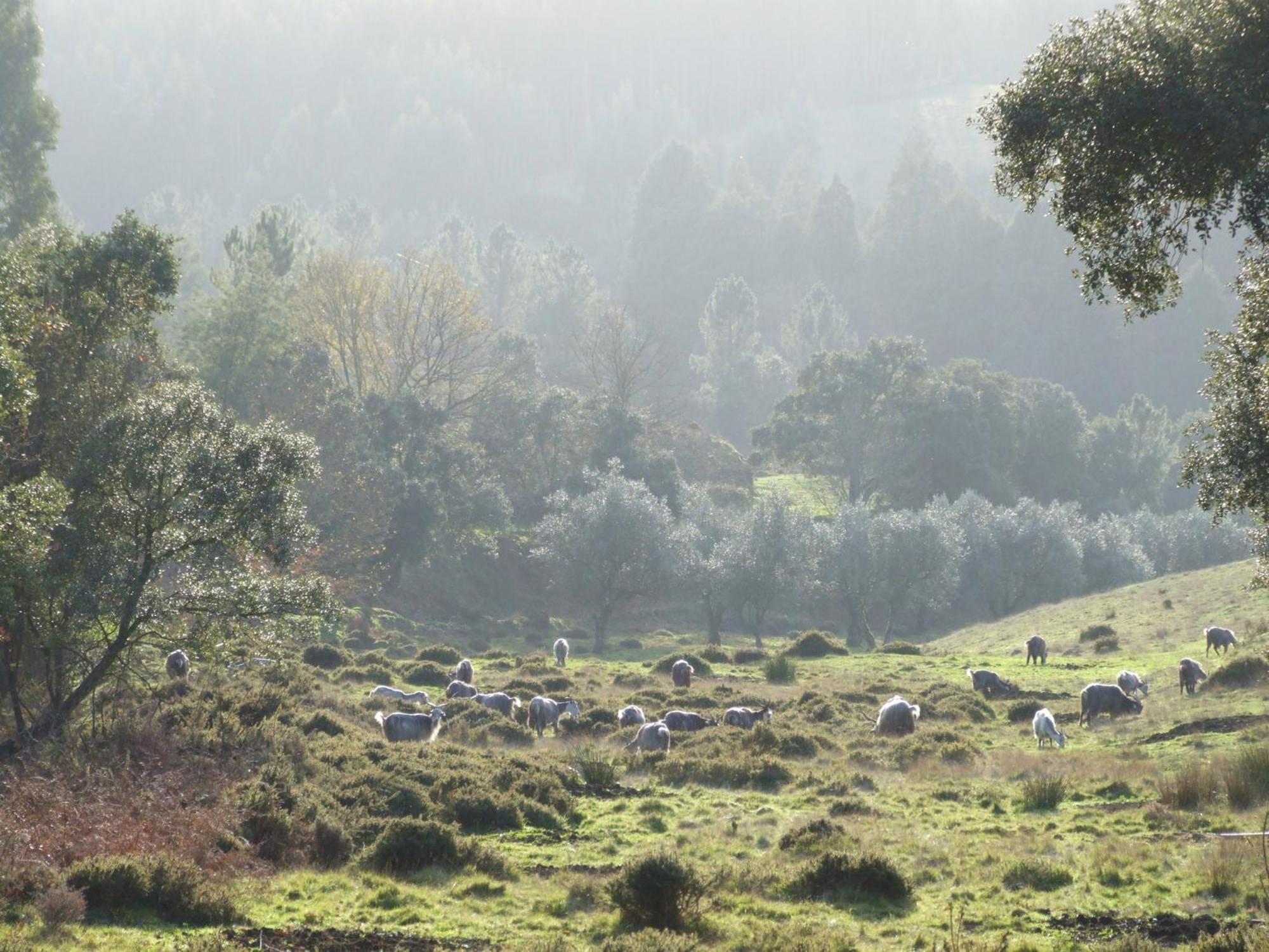 Vumba Agroturismo Арганил Экстерьер фото