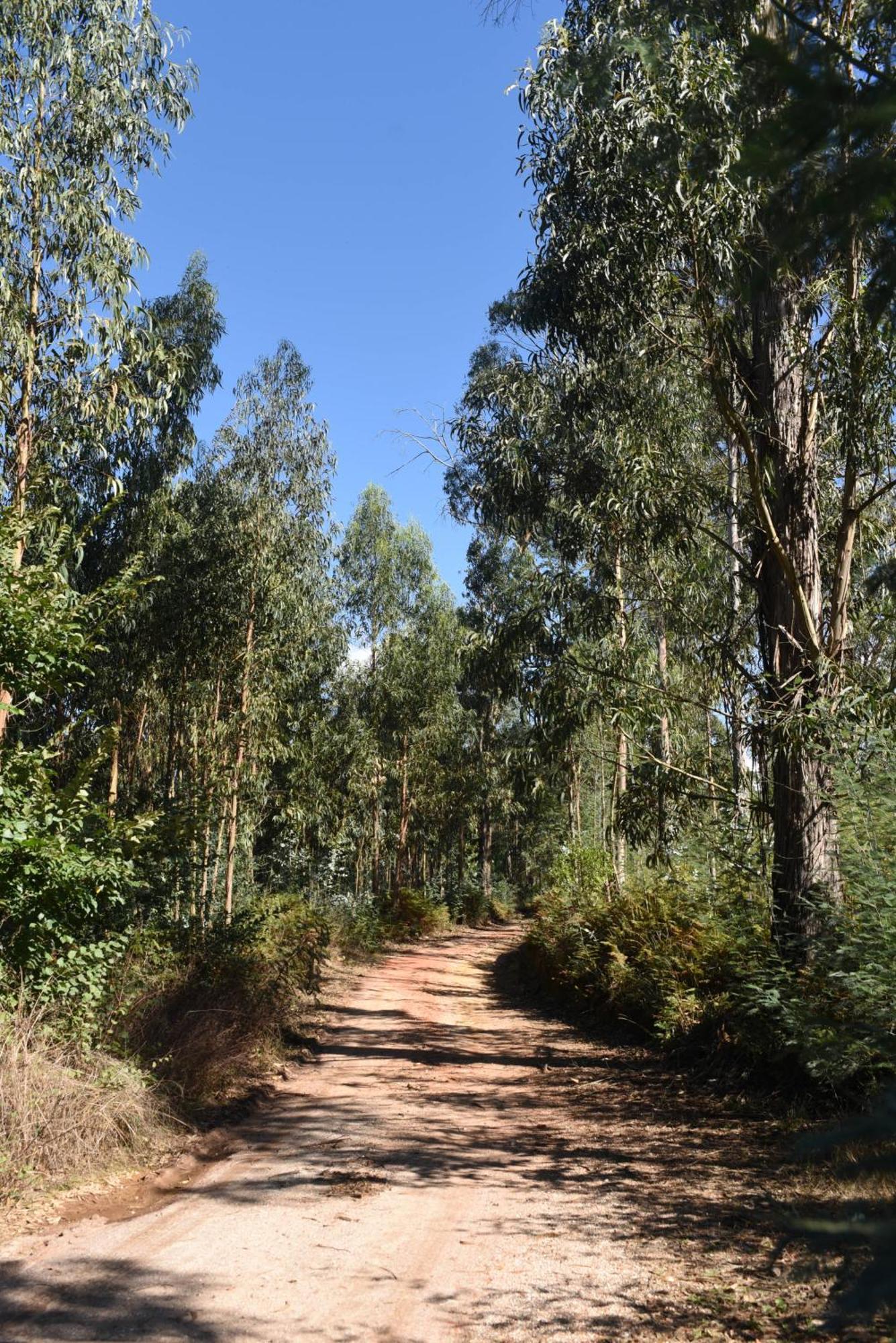 Vumba Agroturismo Арганил Экстерьер фото